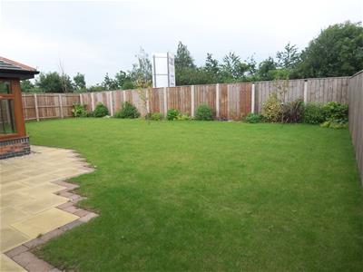 Picture 14